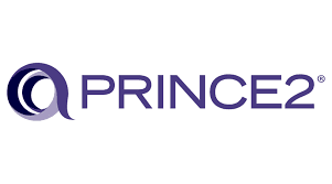 Partner 5